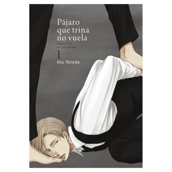 Pájaro que Trina no Vuela 01