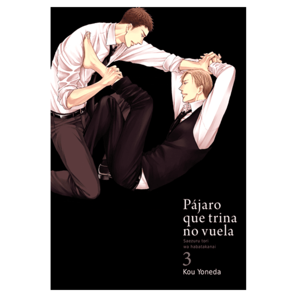 Pájaro que Trina no Vuela 03