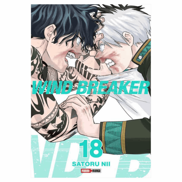 Wind Breaker 18
