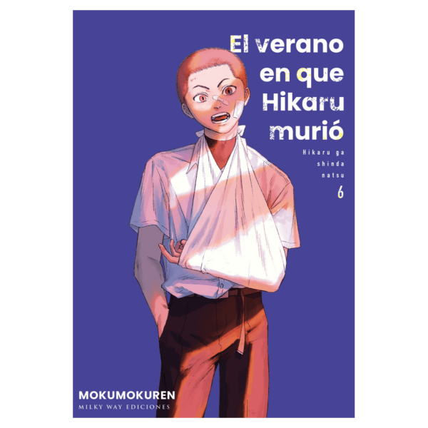 El Verano en que Hikaru murió 06