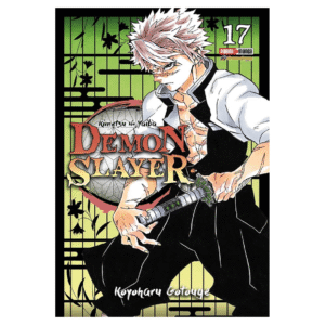 Demon Slayer 17