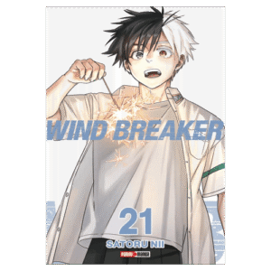 Wind Breaker 21